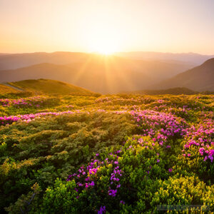 Generic Headshot 300x300 16