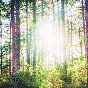 Generic Headshot 300x300 21