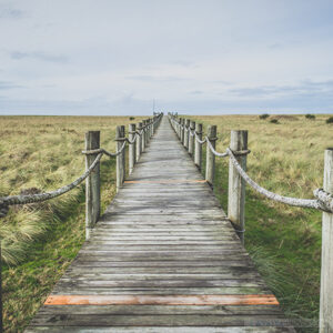 Generic Headshot 300x300 24