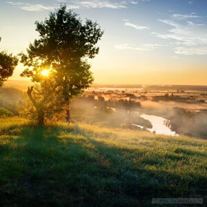 Generic Headshot 300x300 26