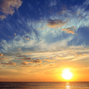 Generic Headshot 300x300 29