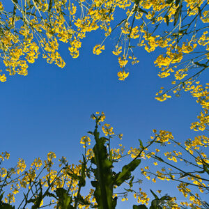 Generic Headshot 300x300 35