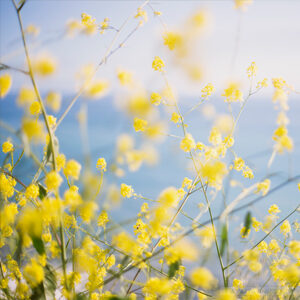 Generic Headshot 300x300 8